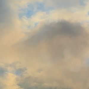 Meet your Posher, Rain’s